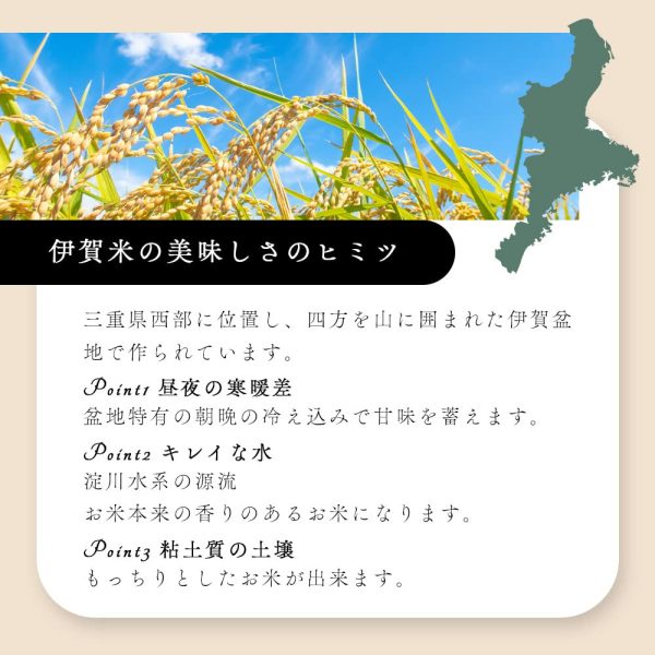 【 精米 】 三重県産 新米 伊賀米 こしひかり 5kg / 令和6年産 特A 米 白米 コシヒカリ - 画像 (3)