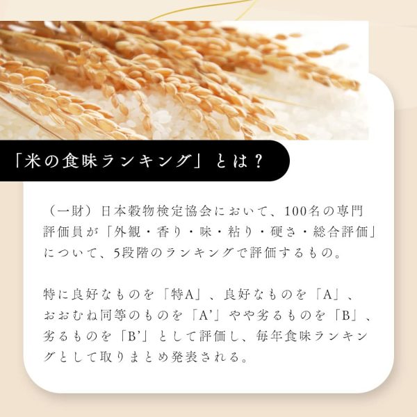 【 精米 】 三重県産 新米 伊賀米 こしひかり 5kg / 令和6年産 特A 米 白米 コシヒカリ - 画像 (5)