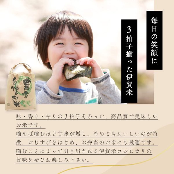【 精米 】 三重県産 新米 伊賀米 こしひかり 5kg / 令和6年産 特A 米 白米 コシヒカリ - 画像 (2)