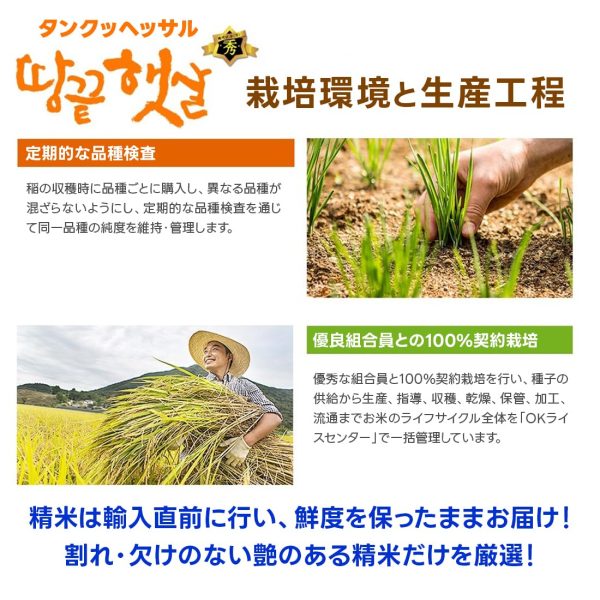 韓国産 お米 4キロ(4kg×1袋) 精米 令和6年産 白米 セチョンム種 韓国農協 もちっとした食感、つや、粘り - 画像 (5)